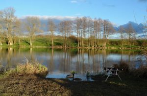 Nos amis canards !