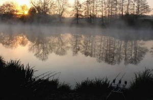 L'étang sous la brume.